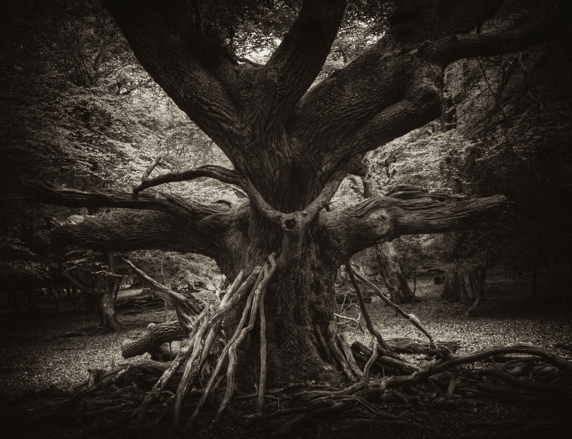 Sacrifice by Paul aka howzey AN$ND